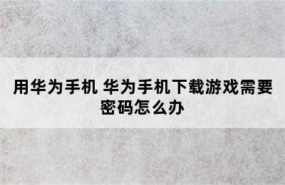 用华为手机 华为手机下载游戏需要密码怎么办